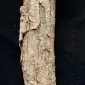 Original Very Rare Rivet From A Higgins Boat Recovered At Omaha Beach Normandy D-DAY RELIC Big Red One Museum Collection Certified