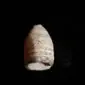 Original Civil War .69 Caliber Minie Ball (Large Size) Excavated In Virginia