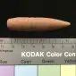 Massive Original .50 Cal. Bullet From Sainte Mere Eglise D-Day Band Of Brothers Area