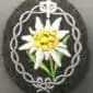 edelweiss german army