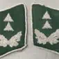 German Luftwaffe Collar Tabs (Kragenspiegel)