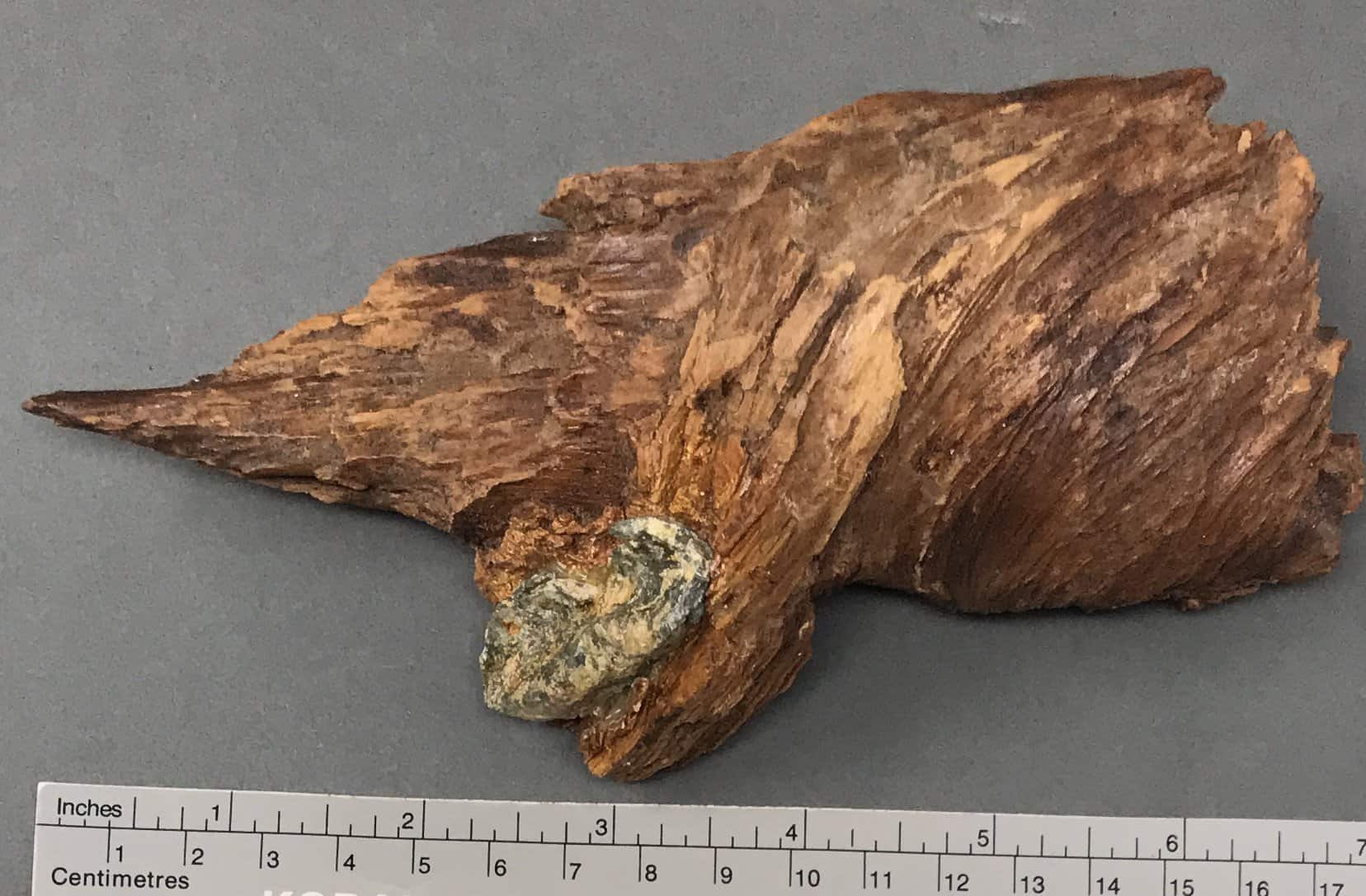 Authentic Civil War Bullet in Wood from Adairsville for Sale