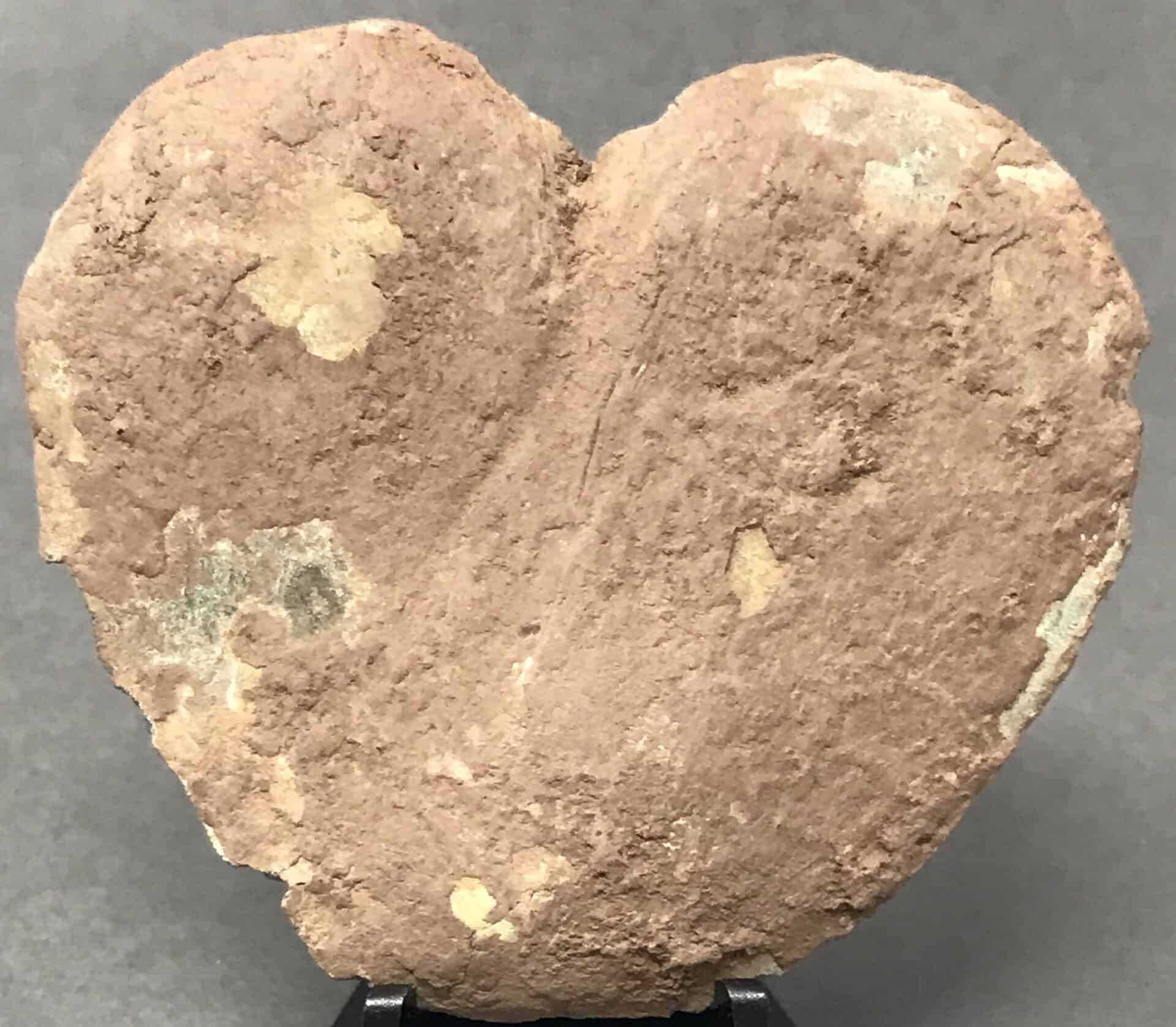 Discover Genuine Civil War Heart Martingale Plate from Brandy Station