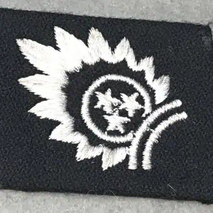Original WWII German Waffen SS WAFFEN-GRENADIER-DIVISION DER SS (LETTISCHE NR.1) COLLAR TAB. (Kragenpatte) Certified