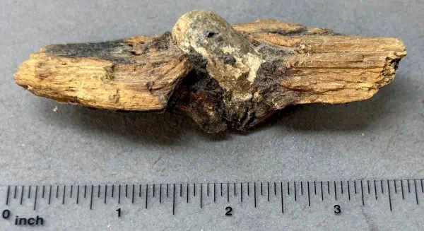 25823089-0614-44EB-816E-DA4AFF8372E2